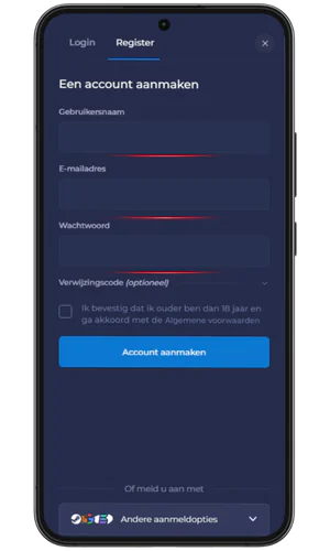 Gegevens invoeren RainBet